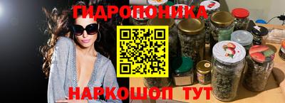 прущие грибы Аргун