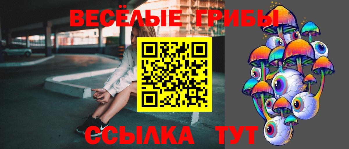 сколько стоит  Вход с VPN  Бахчисарай  Псилоцибиновые грибы Psilocybe 